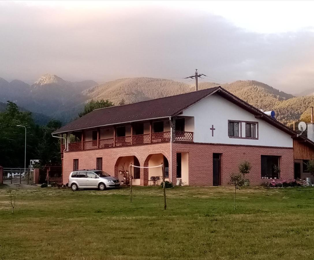 Pensiunea Dates Cîrţişoara Exterior foto