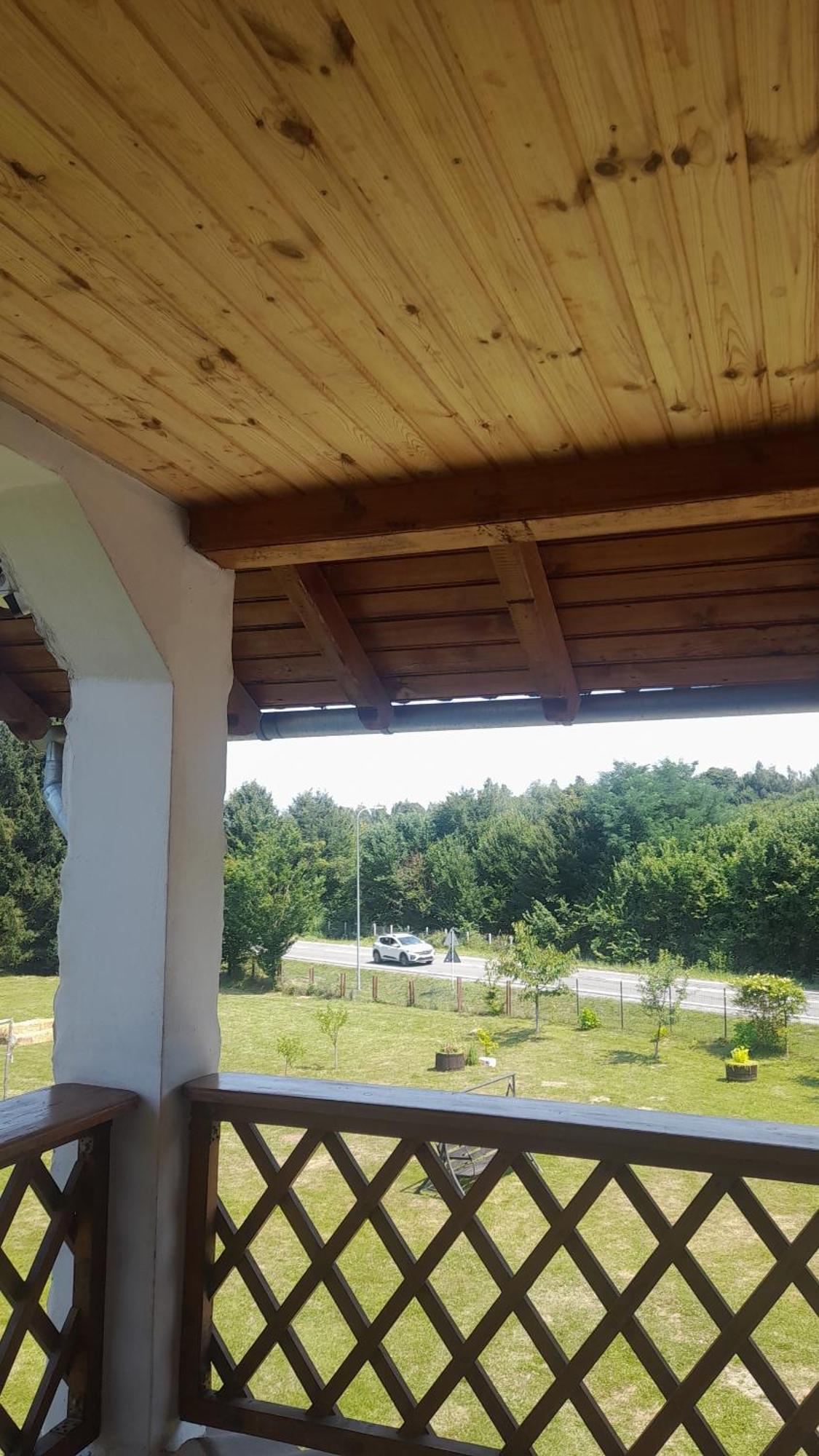 Pensiunea Dates Cîrţişoara Exterior foto