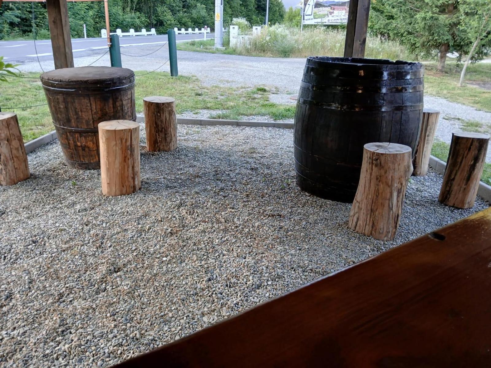 Pensiunea Dates Cîrţişoara Exterior foto