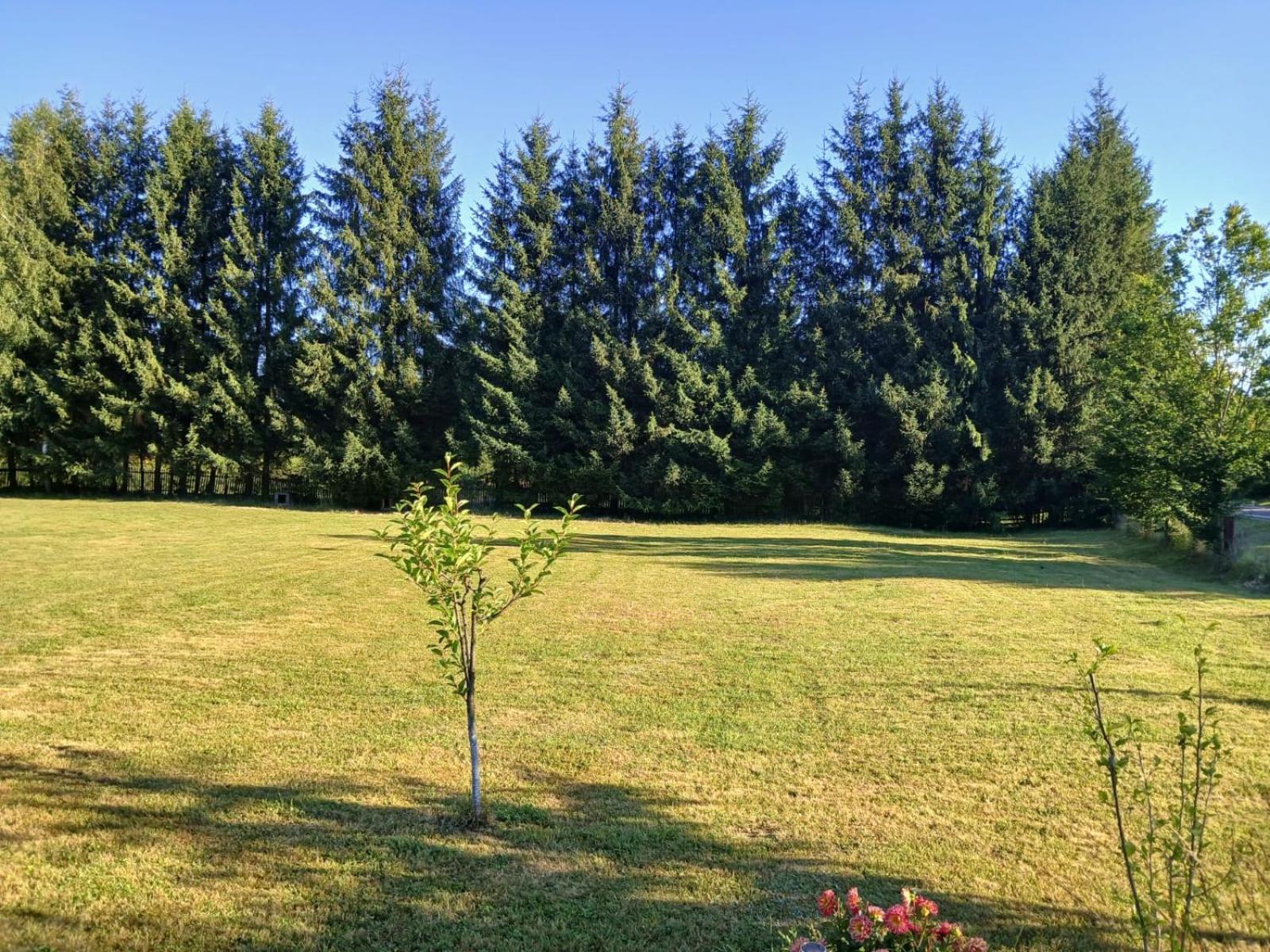 Pensiunea Dates Cîrţişoara Exterior foto